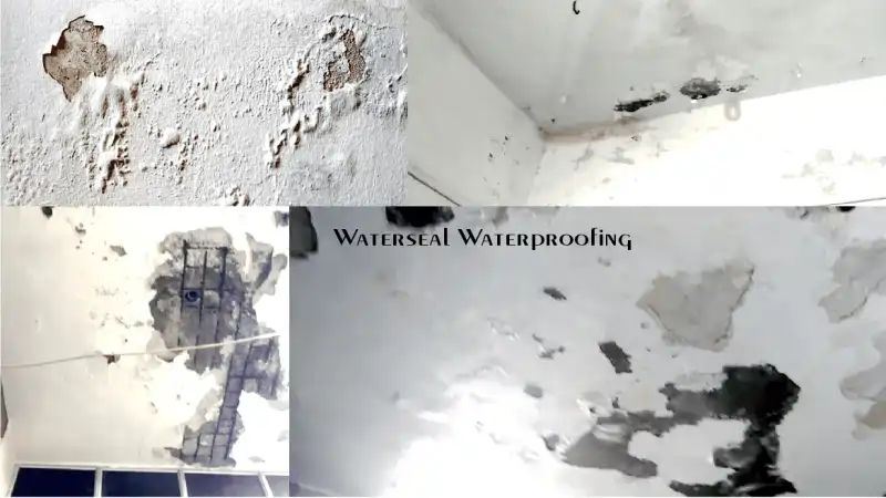 Damages in Home From Bathroom Leakage