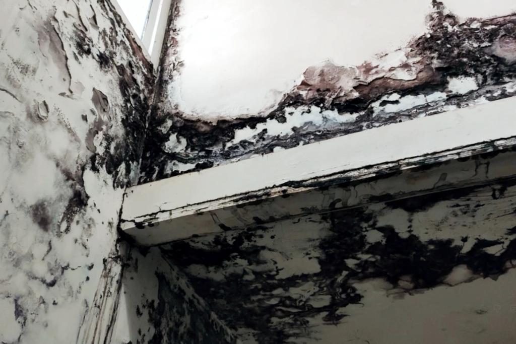 Black spots on ceiling due to bathroom leakage causes