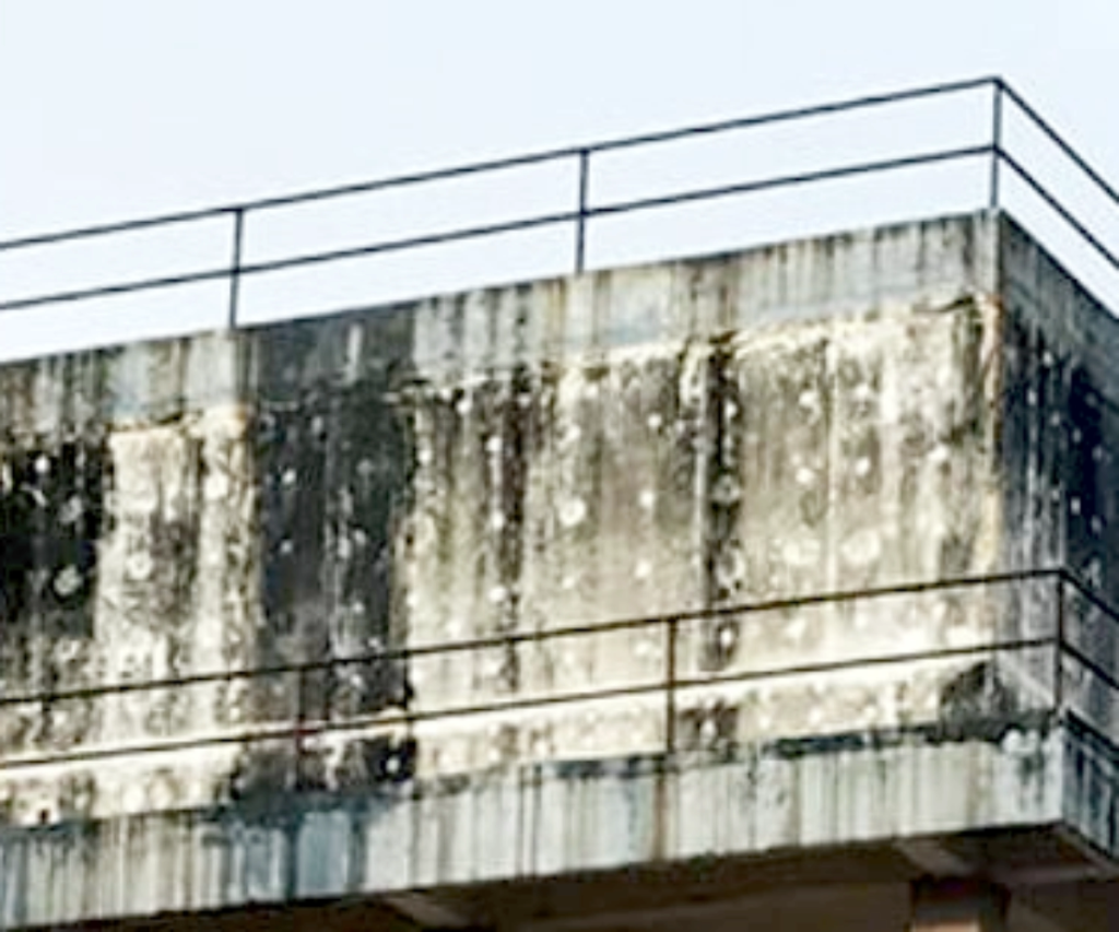 Water Tank Leakage Causes showing damp patches and water seepage on tank wall