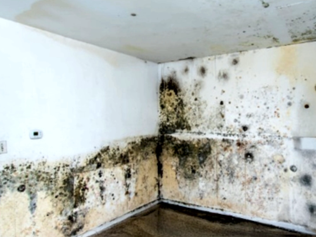 Damp Wall Causes interior wall moisture damage