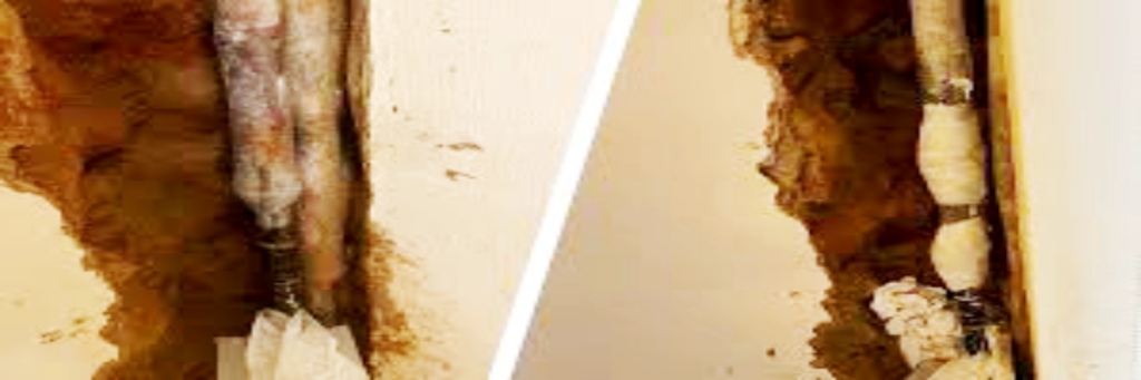 Water leakage from pipe joints inside bathroom wall causing damp patches