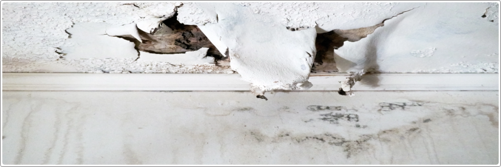 Terrace Leakage Causes -peeling paint and bubbling plaster due to water seepage from terrace