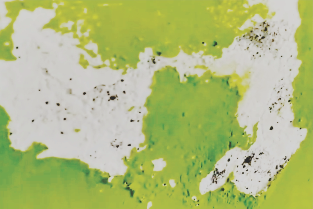 Wall paint stains and dampness caused by bathroom leakage