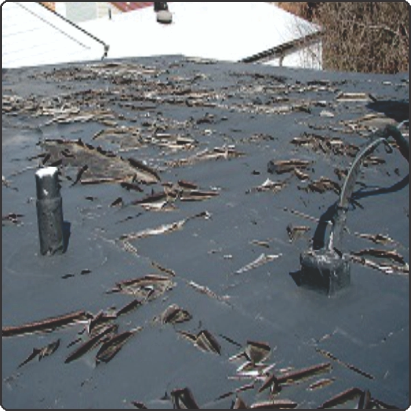 failed waterproofing layer on terrace causing leakage