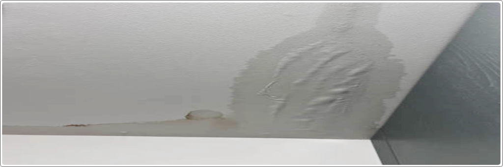 water dripping from ceiling during rain due to Terrace Leakage Causes