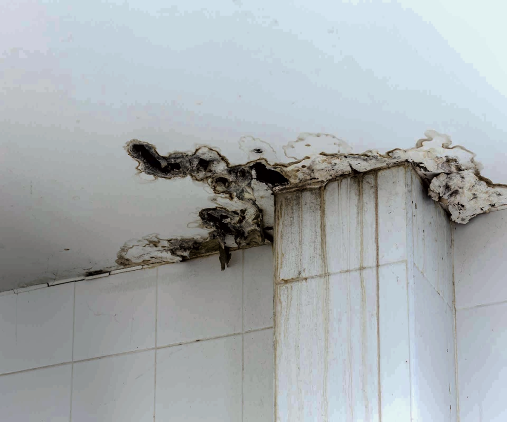 Water Tank Leakage Causes from overhead tank leading to ceiling damage and dampness
