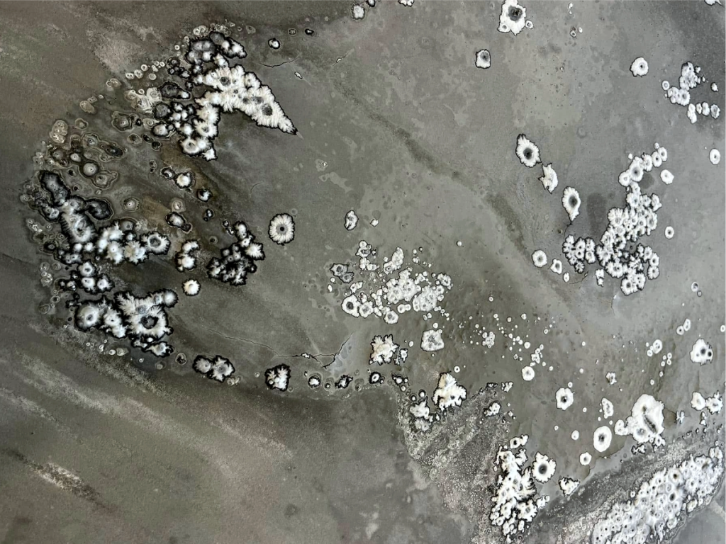 Damp Wall Causes showing salt deposits and efflorescence on walls