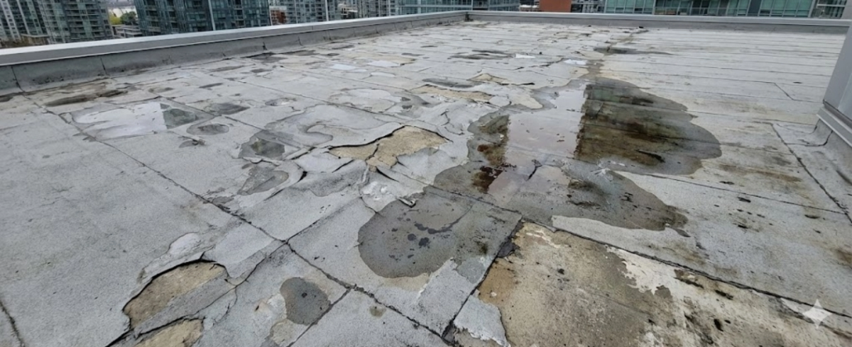 peeling waterproofing layer on terrace causing water leakage